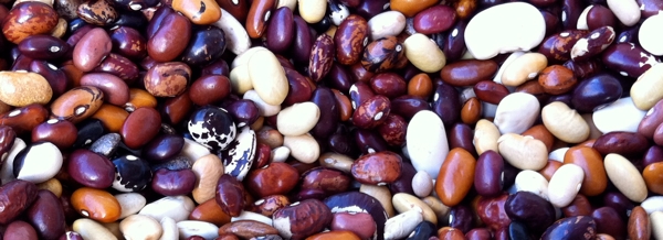dried heirloom beans