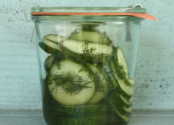quick refrigerator pickles | writes4food.com