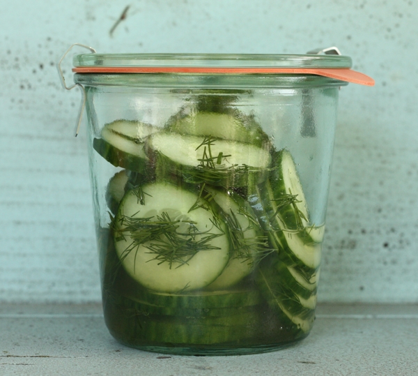quick refrigerator pickles | writes4food.com