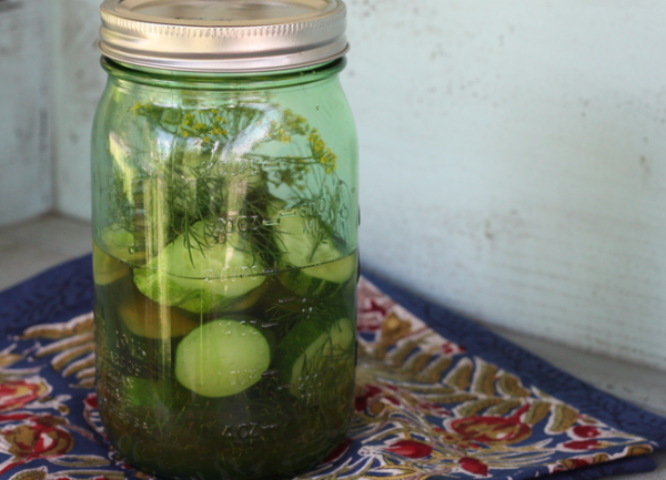 quick refrigerator dill pickle recipe | writes4food.com